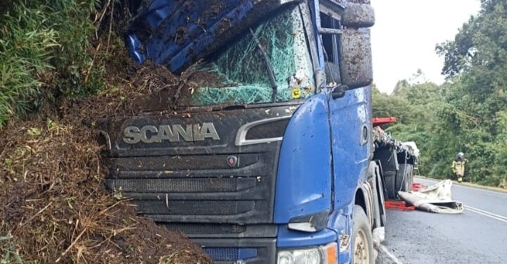 Puyehue: Camión se salió de pista e impactó vegetación en ruta 215 