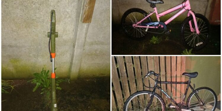 Detienen a dos adolescentes en sector Ovejería tras robo de especies en vivienda