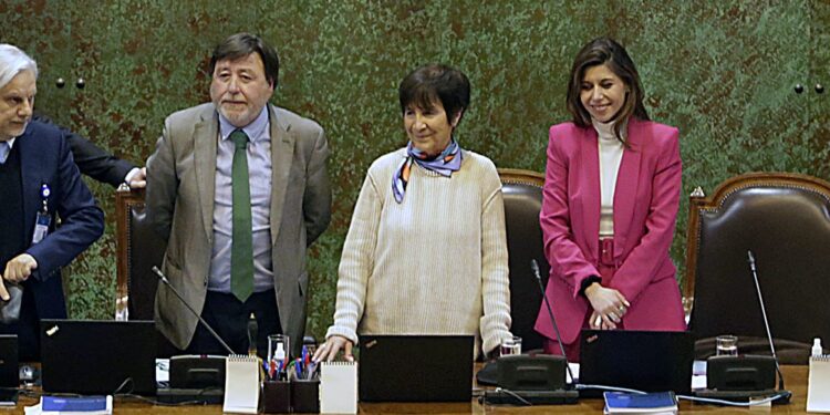 Cámara: Cifuentes llega a la presidencia, con Hertz y Cicardini en las vicepresidencias