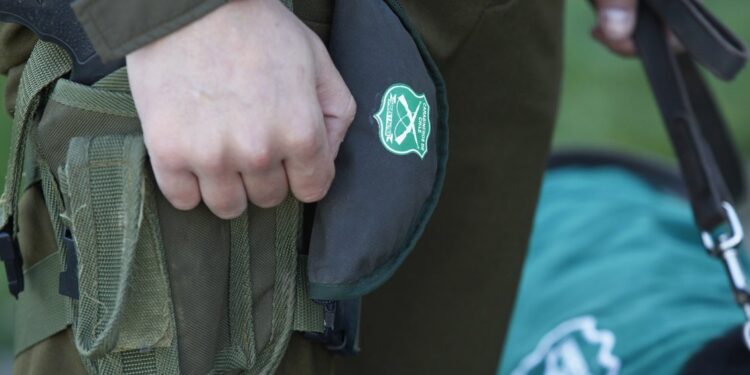 Encapuchados atacaron a balazos a carabineros que resguardan fundo de Vilcún