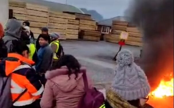 Osorno: Trabajadores de la empresa Madexpo iniciaron huelga por demandas salariales