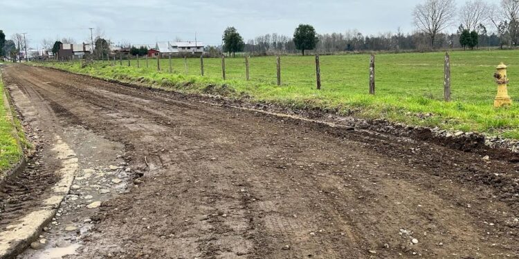 Purranque aprueba licitación para ejecutar conservación de 15 caminos no enrolados 