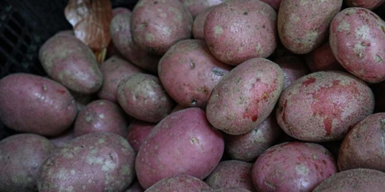 Agricultura anuncia investigación por presunta colusión en precios de verduras