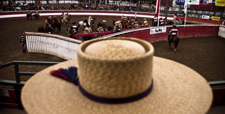Comisión del Consejo Constitucional aprueba enmienda que establece el rodeo como deporte nacional