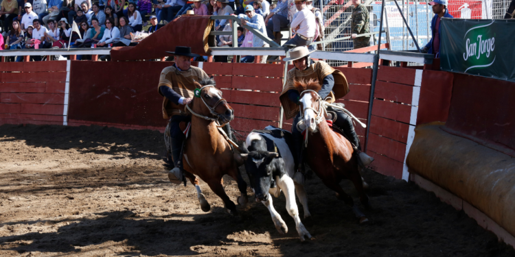 Comisión de la Cámara aprueba en general proyecto que declara al rodeo como deporte nacional