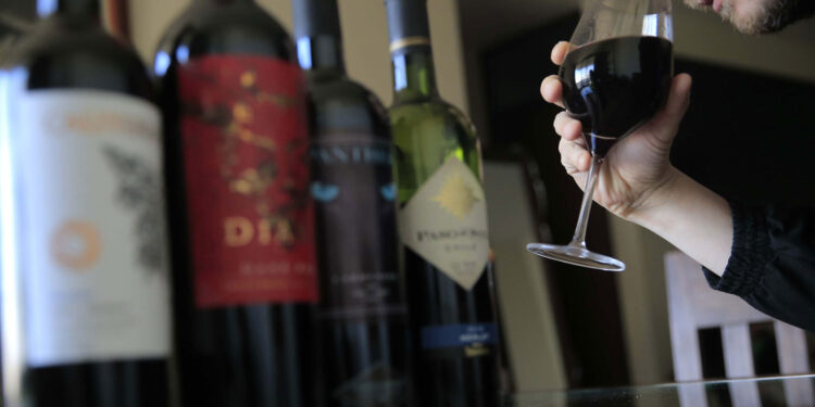 Inédita baja: Exportaciones de vinos chilenos caen con fuerza 24% en el primer semestre