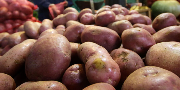 La inflación volvió al alza: IPC subió 0,4% en julio