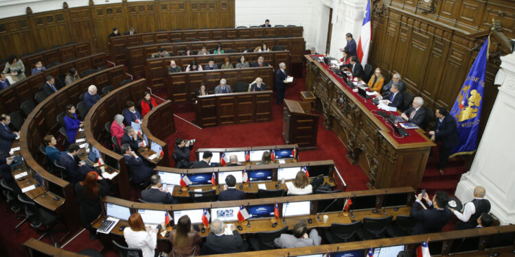 Encuesta UDP-Feedback: 60% se inclina a votar en contra de la nueva Constitución