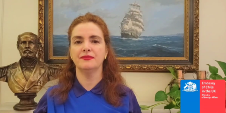 Repudio transversal a embajadora por millonario proyecto que presentó al GORE Biobío