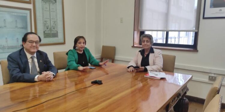 Alcaldesa de Puyehue se reunió con ministra de Obras Públicas por ruta 215 
