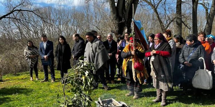 En Osorno, reconocen a 200 dirigentas mapuches en región de Los Lagos 