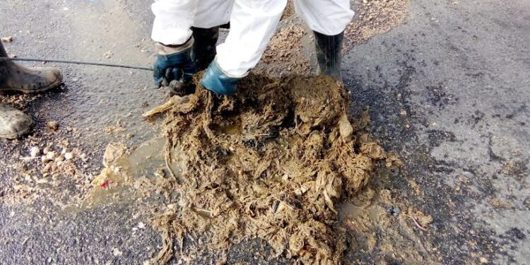 Provincia de Osorno: Llaman a hacer buen uso del alcantarillado en Fiestas Patrias