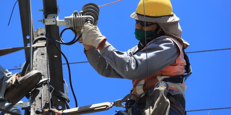 En sector rural de Purranque y La Unión Saesa realizará trabajos en sus líneas de distribución