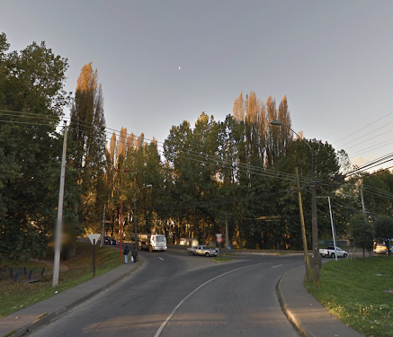Osorno: Informan corte parcial de tránsito en intersección Inés de Suárez y Puente San Pablo 