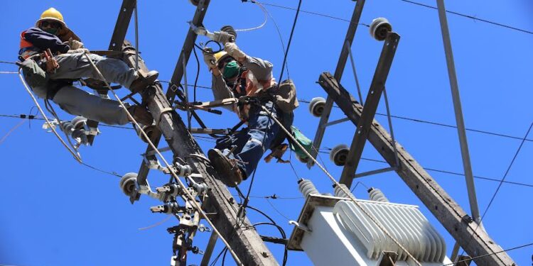 Realizarán trabajos de mantenimiento en sector Ñancuan de Río Negro
