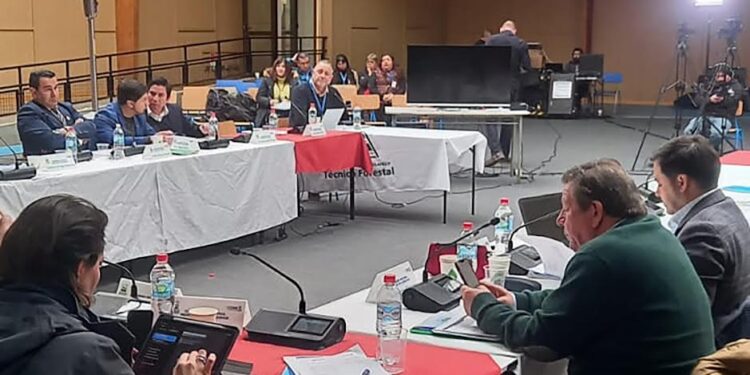 CORE confirma aprobación de recursos para programas presentados por Servicio de Salud Osorno