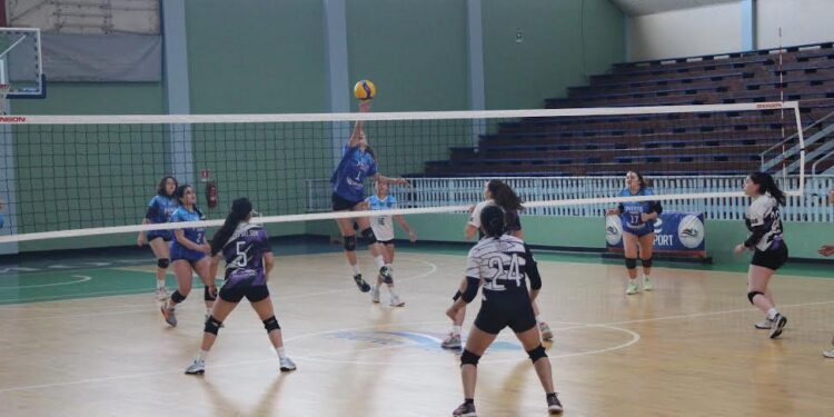 Vóleibol damas y varones de la provincia ganaron fase regional de clasificación para Juegos de la Araucanía 
