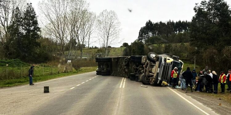 Camión volcó en ruta U-400 dejando al conductor lesionado