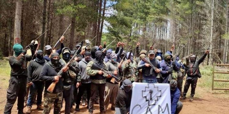 CAM y usurpaciones: «Defenderemos el territorio recuperado hasta tomar las armas si es necesario»