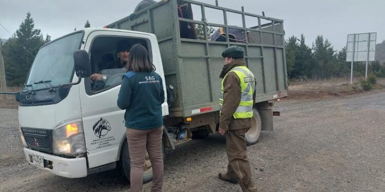 SAG actualiza el Formulario de Movimiento Animal