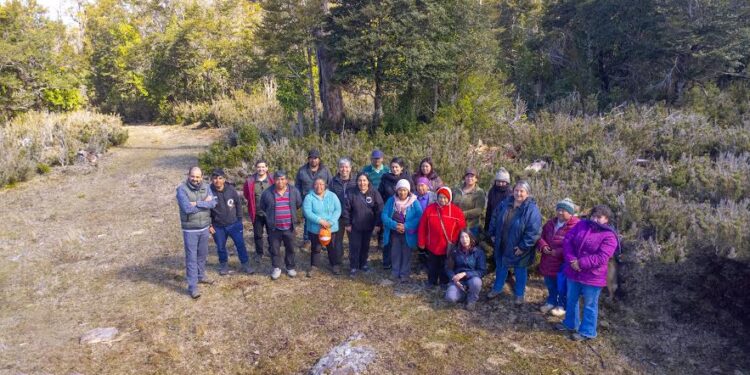 En cordillera de la Costa de Osorno fomentan vinculación con red de bosques modelo 