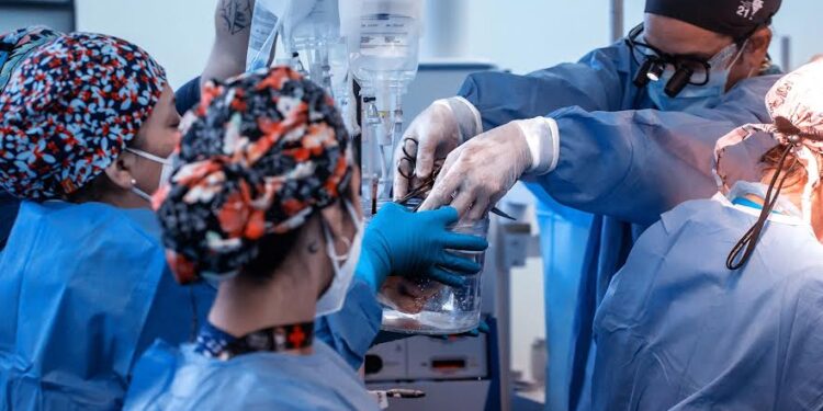 Hospital de Osorno concreta 6ta procura de órganos y duplica meta ministerial del año