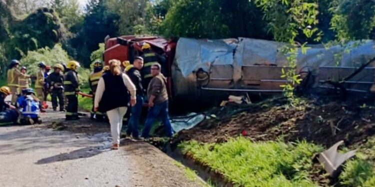 Conductor de camión aljibe falleció tras volcar en sector Chapaco de Río Negro 