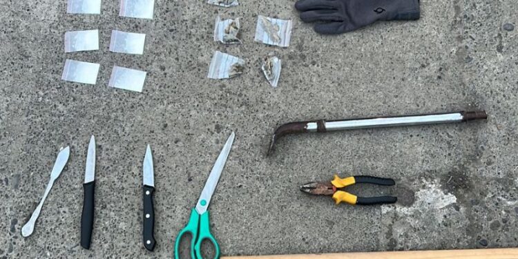 Cinco sujetos son detenidos en Osorno por infracción a ley de drogas