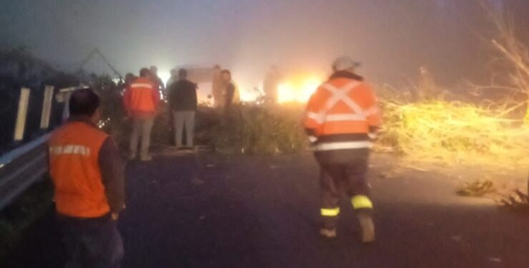 Ataque incendiario en Lumaco: Sujetos derribaron árboles, bloquearon ruta y quemaron 3 camiones forestales