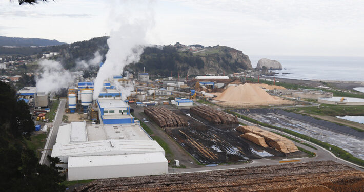 Arauco despide a 300 trabajadores en medio de reestructuración de operaciones