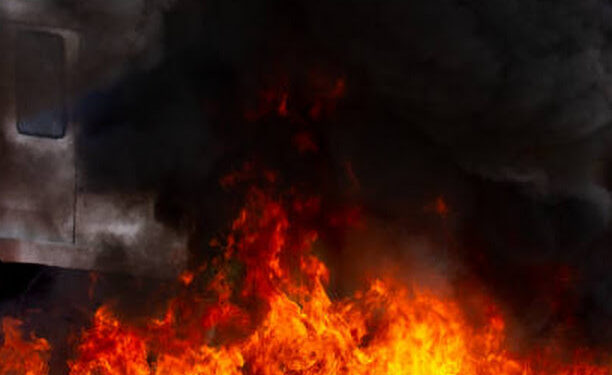 Investigan ataque incendiario en predio forestal de San Juan de la Costa