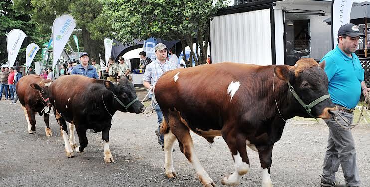 Más de 300 animales serán expuestos en SAGO Fisur 2023