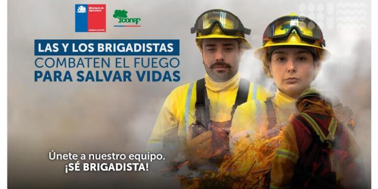 CONAF llamar a postular a brigadistas en provincias de Llanquihue y Palena
