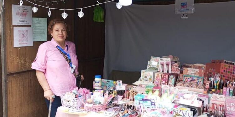 Lanzan mes de la inclusión en Osorno que considera diversas actividades