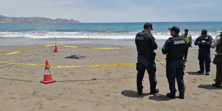 Por tercer día consecutivo reportan hallazgo de restos humanos en Coquimbo