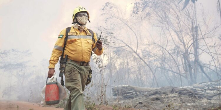 Bolivia pide ayuda a Chile, Brasil y Venezuela para contener incendios forestales