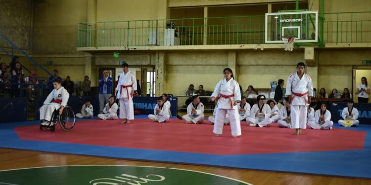 Primeras jornadas de deporte adaptado congregó a deportistas de Osorno y Puyehue