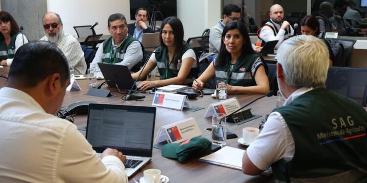 A un año del primer caso de influenza aviar en Chile SAG presenta Estrategia 2024
