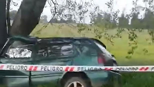 Vehículo impactó contra árbol en Puerto Octay dejando a conductor fallecido