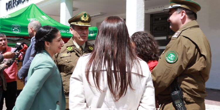 Balance preliminar positivo de primeras horas de plebiscito en región de Los Lagos