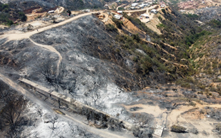 Incendios forestales: Senapred informa de 10 siniestros relevantes y mantiene activa cuatro alertas rojas en el país