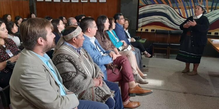 Consejo de Pueblos Originarios en Salud de la provincia de Osorno realiza su Cuenta Pública