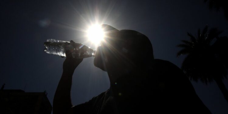 Saesa emitió alerta por altas temperaturas y anunció plan preventivo