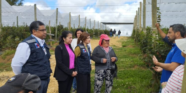 Refuerzan fiscalizaciones en predios agrícolas en la provincia de Osorno