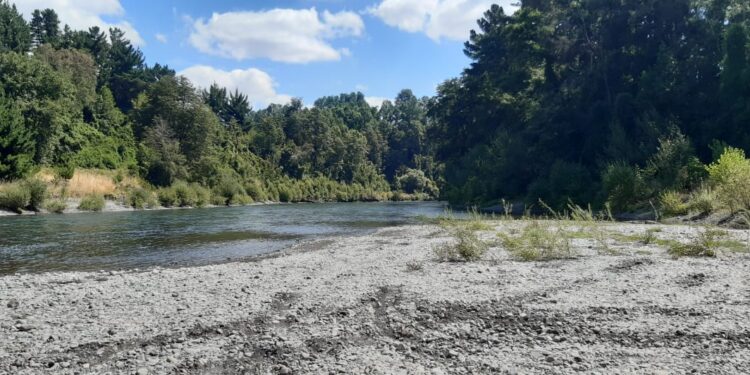 Osorno: Encuentran cuerpo de hombre que había sido arrastrado por el río Rahue