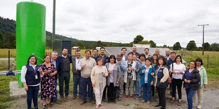 Mejoran acceso al riego y plantación de uvas viníferas en Puerto Octay