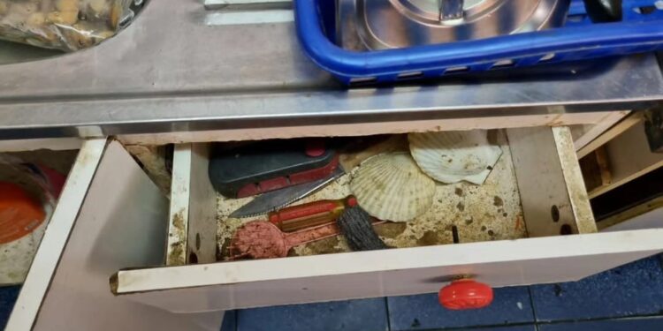 Encuentran fecas de roedores en local de comida en Pucatrihue