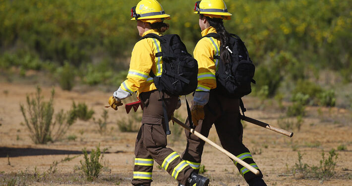 Muere jefe de brigada de Conaf durante el combate de incendio forestal en el Biobío