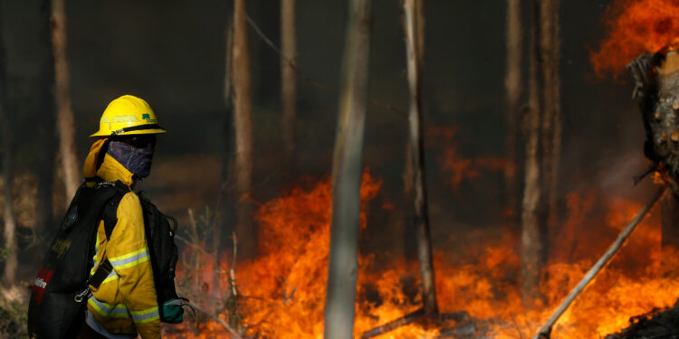 Alerta roja para Puerto Montt por avance de incendio forestal