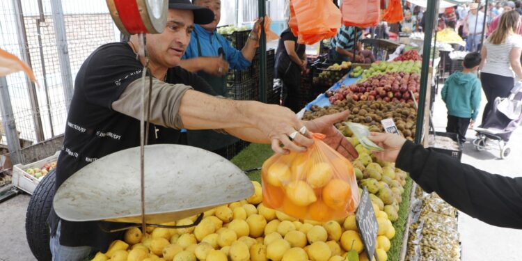 Advierten alza en precio de frutas y verduras por incremento de peajes